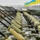 Украина президенти