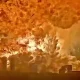 SpaceX компанияси томонидан яратилган ва инсониятни Марсга