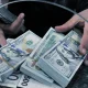 Important reforms are beginning in Uzbekistan in the field