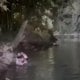 Тошкент шаҳридаги сув йўли бўйида рўй берган фожиали