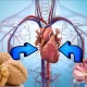 Сўнгги йилларда инсоният саломатлиги учун энг катта таҳдид
