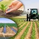 Кабинет Министров Узбекистана принял постановление "О