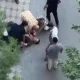 Тошкент шаҳридаги Учтепа тумани 31–мавзе ҳудудида содир