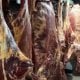Пойтахтга сотиш учун ноқонуний йўл билан олиб келинаётган