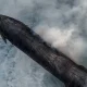 SpaceX CEO Elon Musk commented on the condition of the
