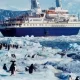 The ice in Antarctica is melting at an alarming rate.