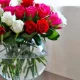 The rose is one of the most enchanting, popular, and