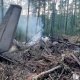 Rossiyaning Tinda shahri yaqinida An-24 yo‘lovchi