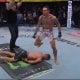 The prestigious annual mixed martial arts award