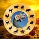2025 йилнинг июн ойи ўзининг гўзал табиати, ўзига хос