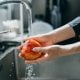 Мева ва сабзавотлар соғлом овқатланишнинг энг муҳим қисми