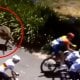 Avstraliyada o‘tayotgan Tour Down Under velopoygasida