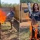 Valentina Gomes, a Texas politician running as a candidate