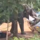 Hindistonda ibodatxona bayrami fojia bilan yakunlandi.