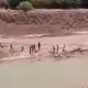 Паркент туманида