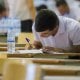 2025–2026 o‘quv yili uchun oliy va professional ta’lim