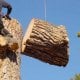 Жиззах вилоятида экологик қонунбузарлик билан боғлиқ янги