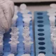 In Guangdong, the chikungunya virus is spreading rapidly,