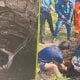 Хитойда юз берган ҳайратланарли воқеа барчани лол