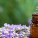 Lavanda yog‘i qadimdan inson salomatligi va go‘zalligi