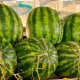 EastFruit ma’lumotlariga ko‘ra, O‘zbekistonda so‘nggi