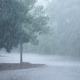 The UN meteorological agency has warned that weather