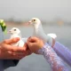 In modern times, maintaining harmony in relationships is