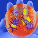 Microbes are tiny living organisms that cannot be seen