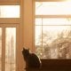 4 октябр куни мамлакат ҳудудида “даражали тўқ сариқ”