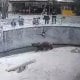 Тошкент шаҳрида содир бўлган навбатдаги жиноят ҳодисаси