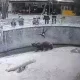 In the city of Tashkent, another crime shocked the public.