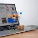 O‘zbekistonda elektron tijorat sohasida, ayniqsa xorijiy
