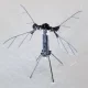 Xitoyda maxfiy