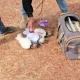 В Бостанлыкском районе Ташкентской области в ходе
