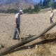 Тошкент вилоятининг Бўстонлиқ туманида содир бўлган воқеа