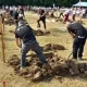 In the Hungarian city of Sexard, not only an unusual, but