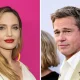 Brad Pitt spoke