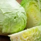 Cabbage is considered one of the most beneficial