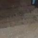 The city of Zarafshan in the Navoi region once again faced