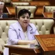 At the Senate plenary session, the law "On amendments
