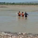 Bugun, 23 may kuni Toshkent viloyatining Piskent tumani