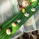 Шарқий Кубада яшовчи ноёб Полймита дарахт салянгуслари