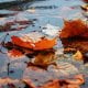 Ўзбекистоннинг барча ҳудудларида 7 октябрь куни ёмғирсиз