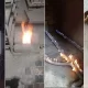 Taşkent vilayetinde devlet kaynaklarının yasa dışı