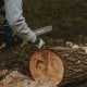 Ущерб, нанесённый вырубкой деревьев и кустарников на улице