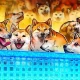 The Dogecoin Foundation's corporate arm has partnered