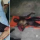 19 Eylül saat 22:00 civarında, Sirdaryo bölgesinin