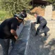 In some cemeteries in Samarkand, cases of premature