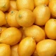 O‘zbekistonda limon narxi 65 foizga oshib, har kilogrammi