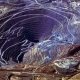 Ўзбекистон ер ости